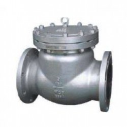 進(jìn)口鎳止回閥