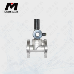 進(jìn)口燃?xì)馇袛嚯姶砰y