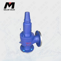 進(jìn)口天然氣安全閥