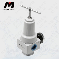 進(jìn)口減壓閥