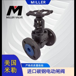 進(jìn)口碳鋼電動(dòng)閘閥