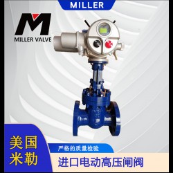 進(jìn)口電動(dòng)高壓閘閥