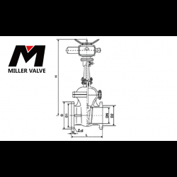 進(jìn)口電動(dòng)閘閥