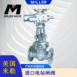 進(jìn)口電站閘閥