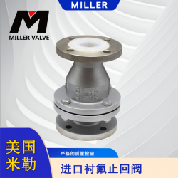 進(jìn)口襯氟止回閥