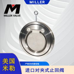 進(jìn)口對夾式止回閥