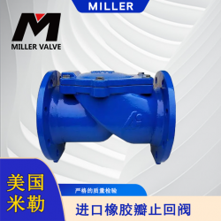 進(jìn)口橡膠瓣止回閥