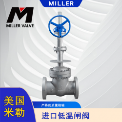 進口低溫閘閥