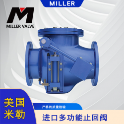 進(jìn)口多功能止回閥
