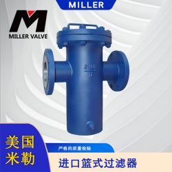 進(jìn)口籃式過(guò)濾器