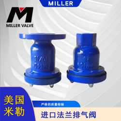 進口法蘭排氣閥