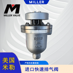 進口快速排氣閥
