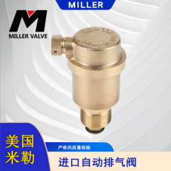 進口自動排氣閥