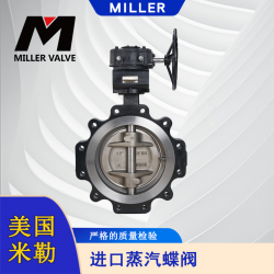 進(jìn)口蒸汽蝶閥
