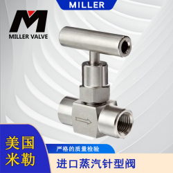 進口蒸汽針型閥