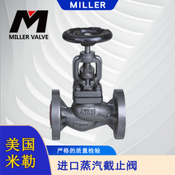 進(jìn)口蒸汽電動(dòng)截止閥