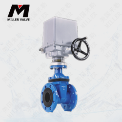 進(jìn)口電動(dòng)美標(biāo)閘閥