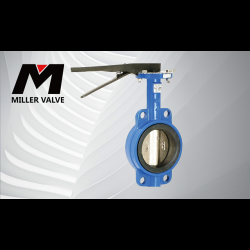 進(jìn)口對(duì)夾蝶閥