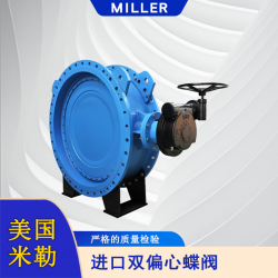 進(jìn)口雙偏心蝶閥