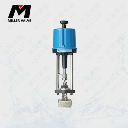 進(jìn)口電動(dòng)小流量調(diào)節(jié)閥