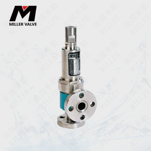 進(jìn)口彈簧封閉式高壓安全閥