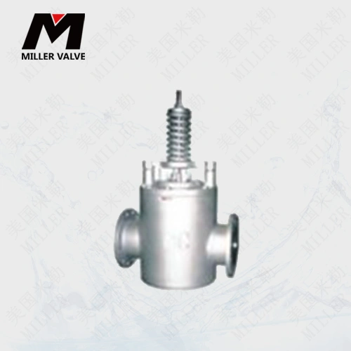 進口安全逆止閥