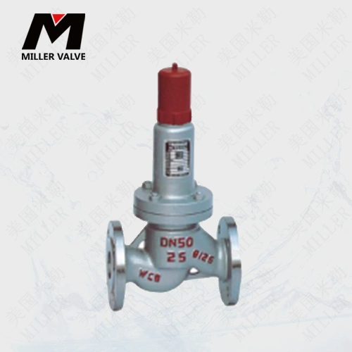 進(jìn)口安全回流閥