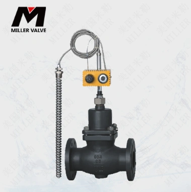 進(jìn)口帶指揮器壓力調(diào)節(jié)閥