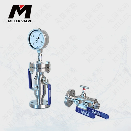 進(jìn)口工藝閥