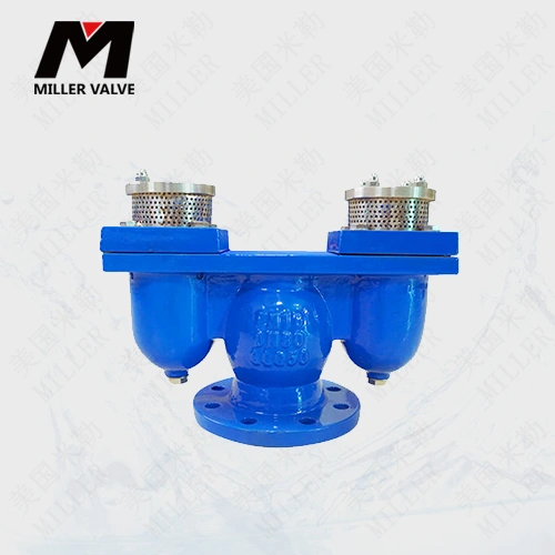 進(jìn)口雙口排氣閥