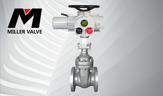 進(jìn)口電動(dòng)閘閥