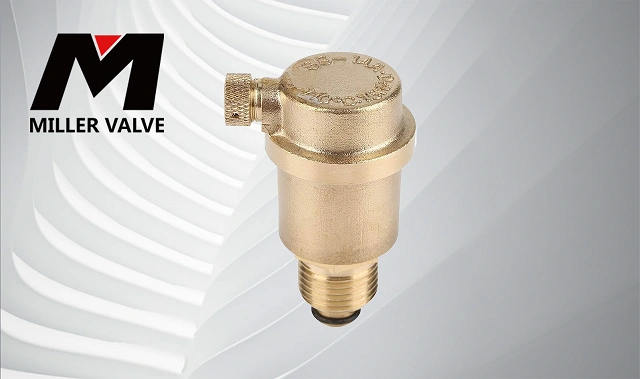 進口自動排氣閥