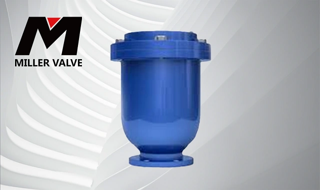 進(jìn)口單口排氣閥