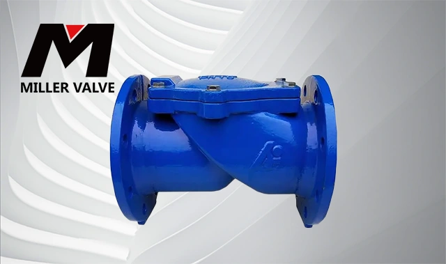 進(jìn)口橡膠瓣止回閥