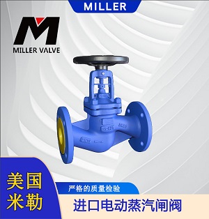 進(jìn)口電動蒸汽閘閥