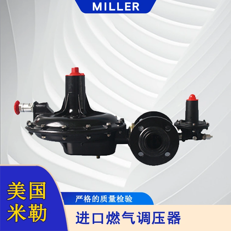 進(jìn)口燃?xì)庹{(diào)壓器